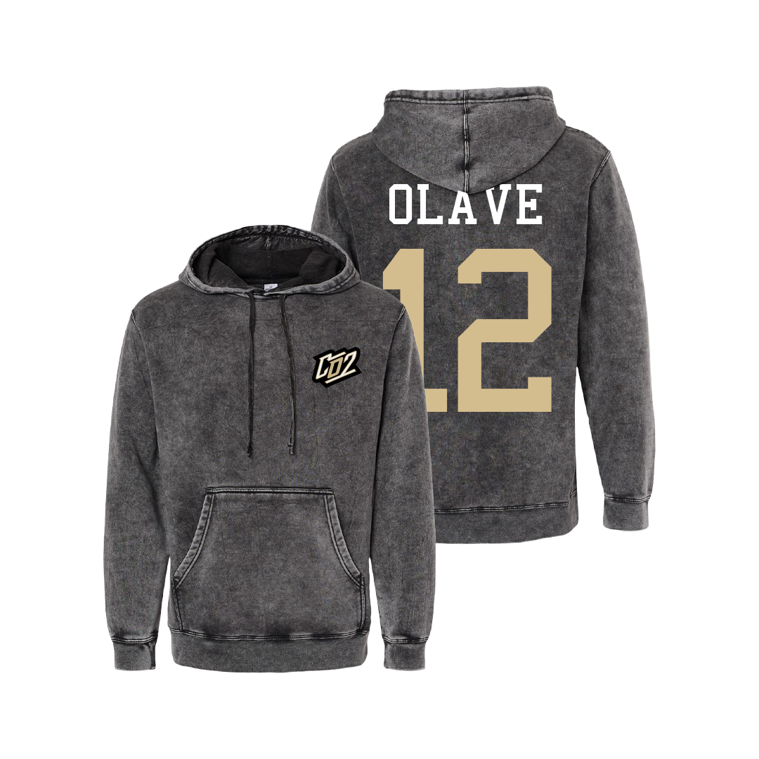 SIGNATURE LOGO MINERAL WASH HOODIE